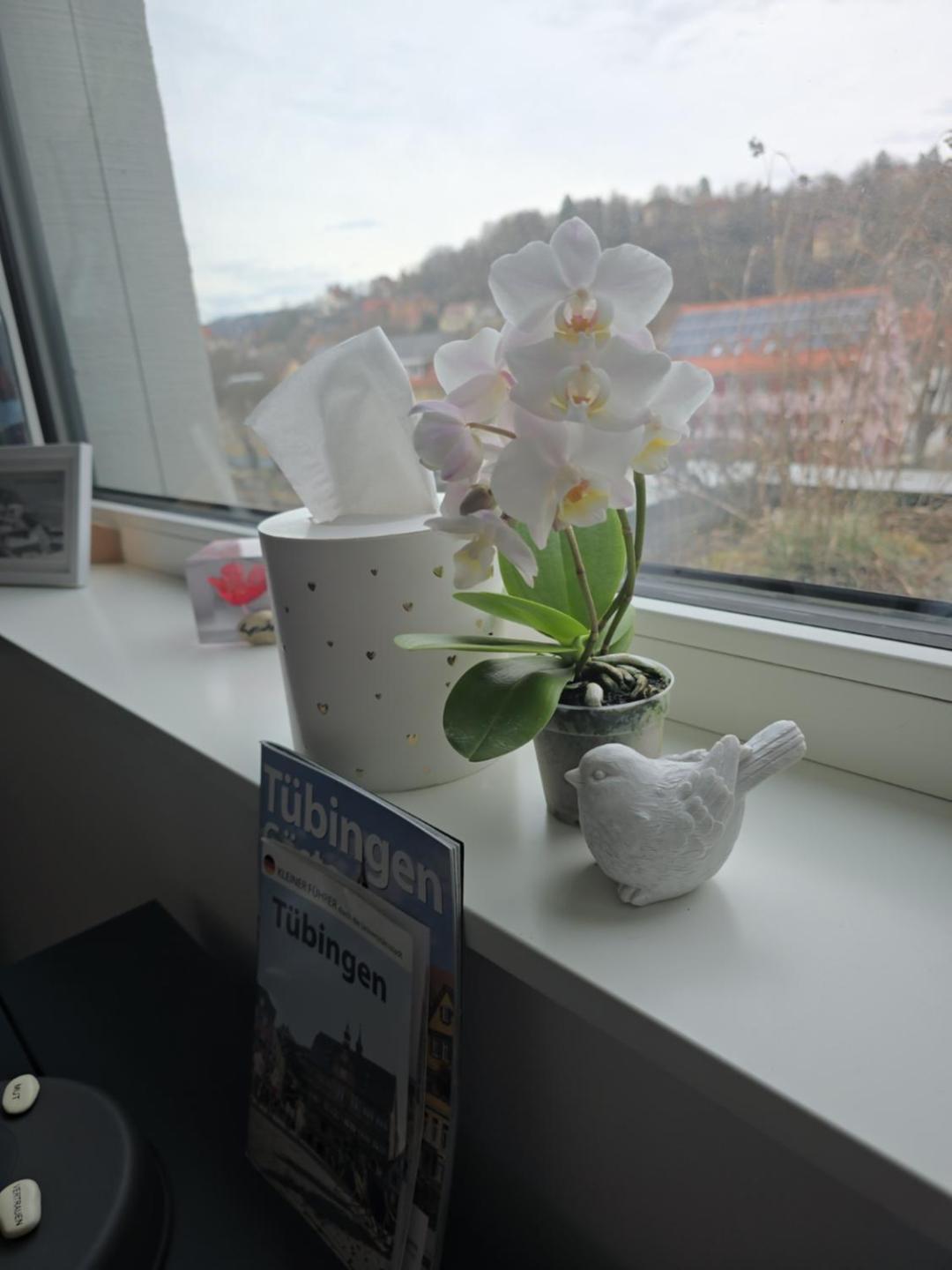 Stadtnahes Gaestezimmer Im Penthouse Bei Esi Tübingen Exterior foto